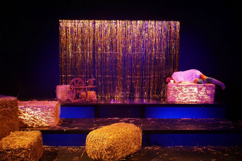 A. Großgasteiger/ C. Busche nach den Geb. Grimm - Regie: A. Großgasteiger - Werftpark Kiel - Junges Theater