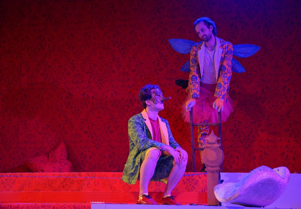 Stage and costume design PINOCCHIO, view 4